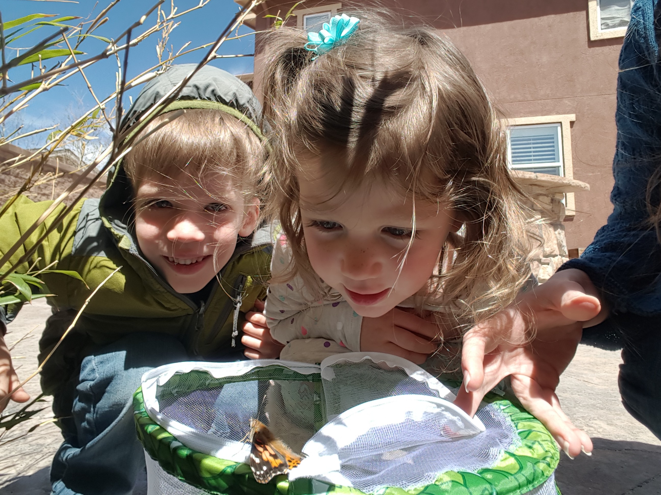 New Mercies Monday: BUTTERFLIES!